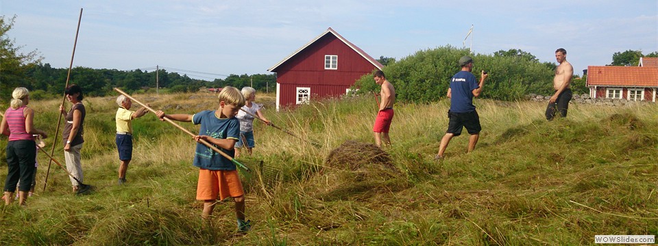 Skördefest